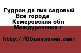 Гудрон де пин садовый - Все города  »    . Кемеровская обл.,Междуреченск г.